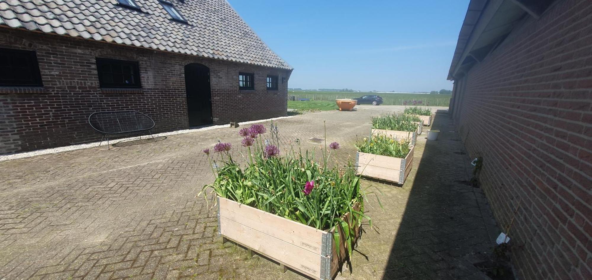De Wagenloods Bed and Breakfast Alphen aan den Rijn Buitenkant foto